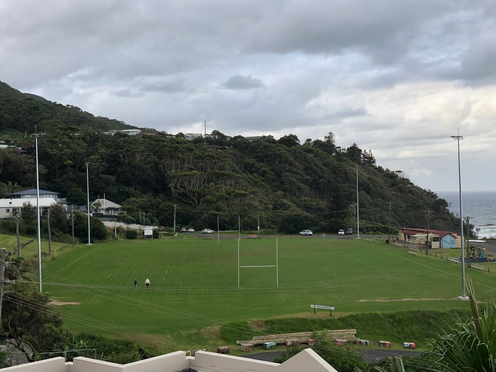 Posts at Wombarra oval deemed 'act of environmental vandalism' post image