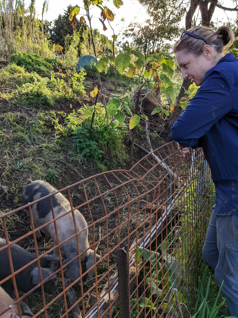 Permaculture in a nutshell post image