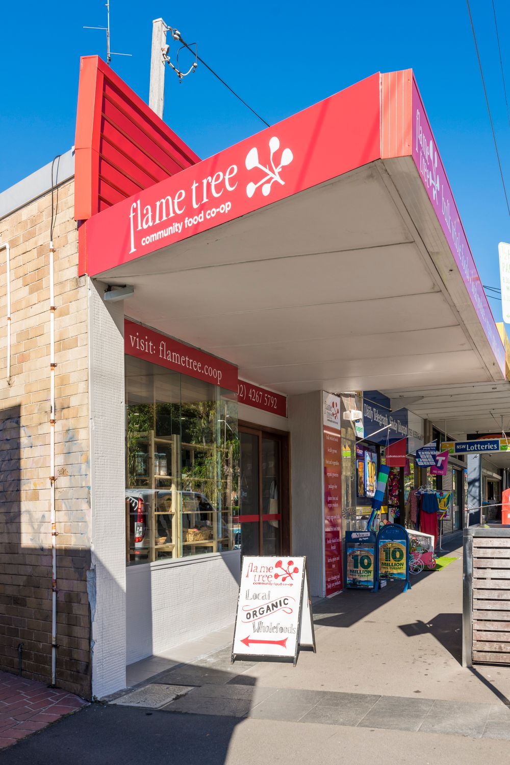 Growing Flame Tree post image