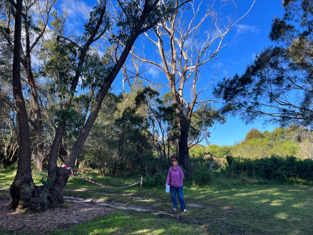 Lost burials, babies and 'one lonely grave that everyone parks on': Why Helensburgh cemetery needs signage post image