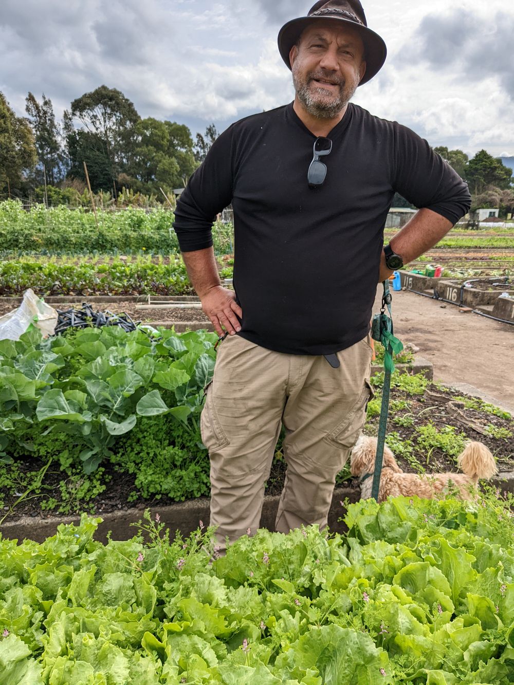 Passion for seasonal produce drives Dapto Community Farm post image