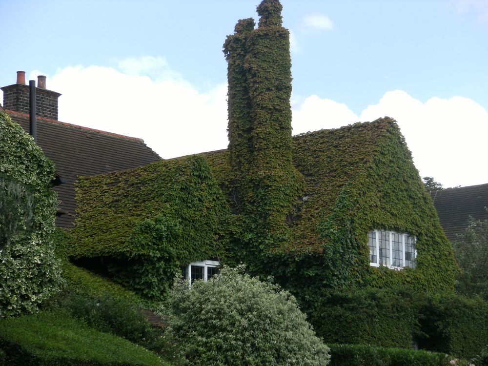 4 of My Favourite Quotes by Architects post image