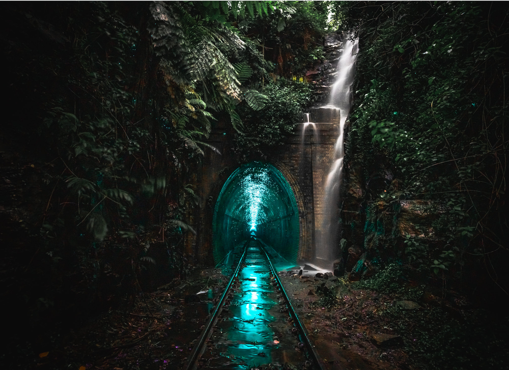 Secret's out: Helensburgh's glowworm tunnel features in national photo competition post image