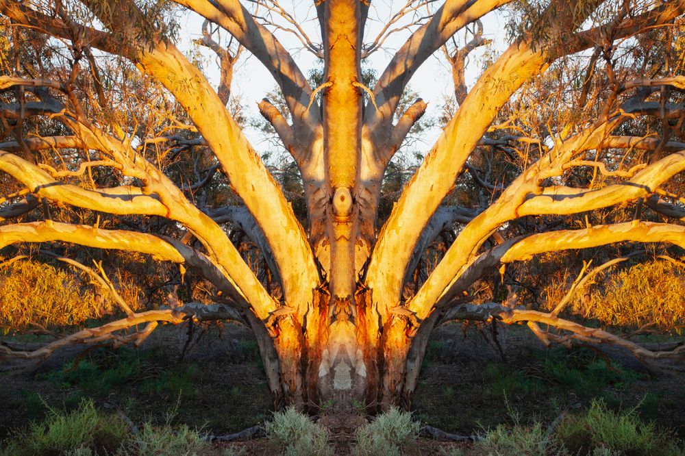 Reversal of Fortune post image