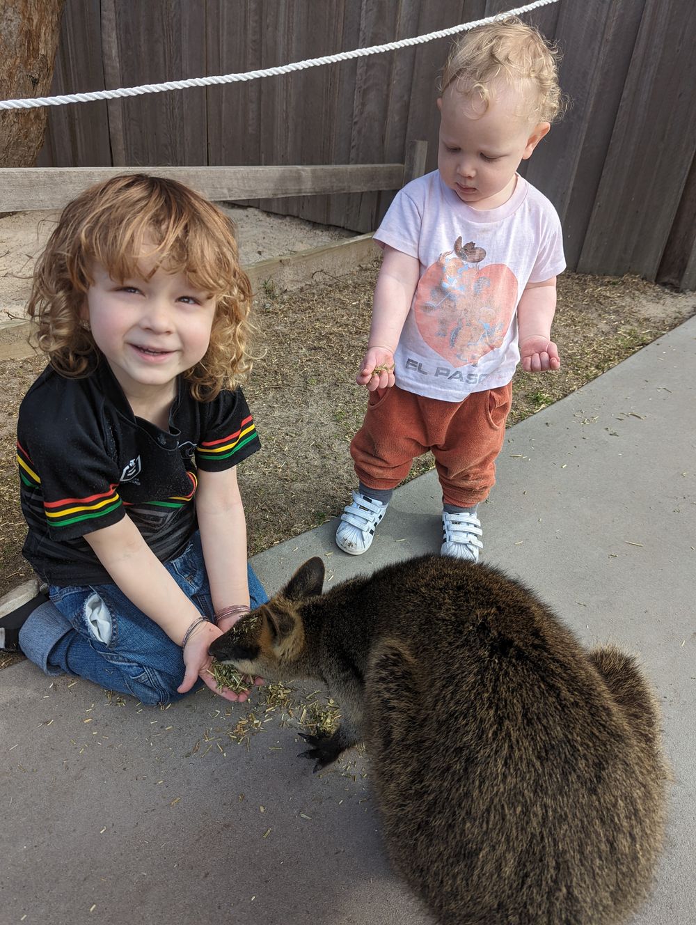 'Symbio is the perfect size for kids' post image