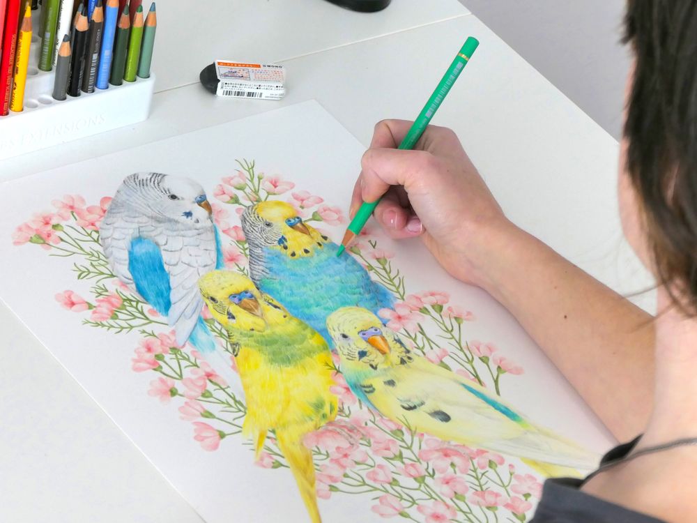 Kayla Reay's art draws inspiration from Australian birds post image
