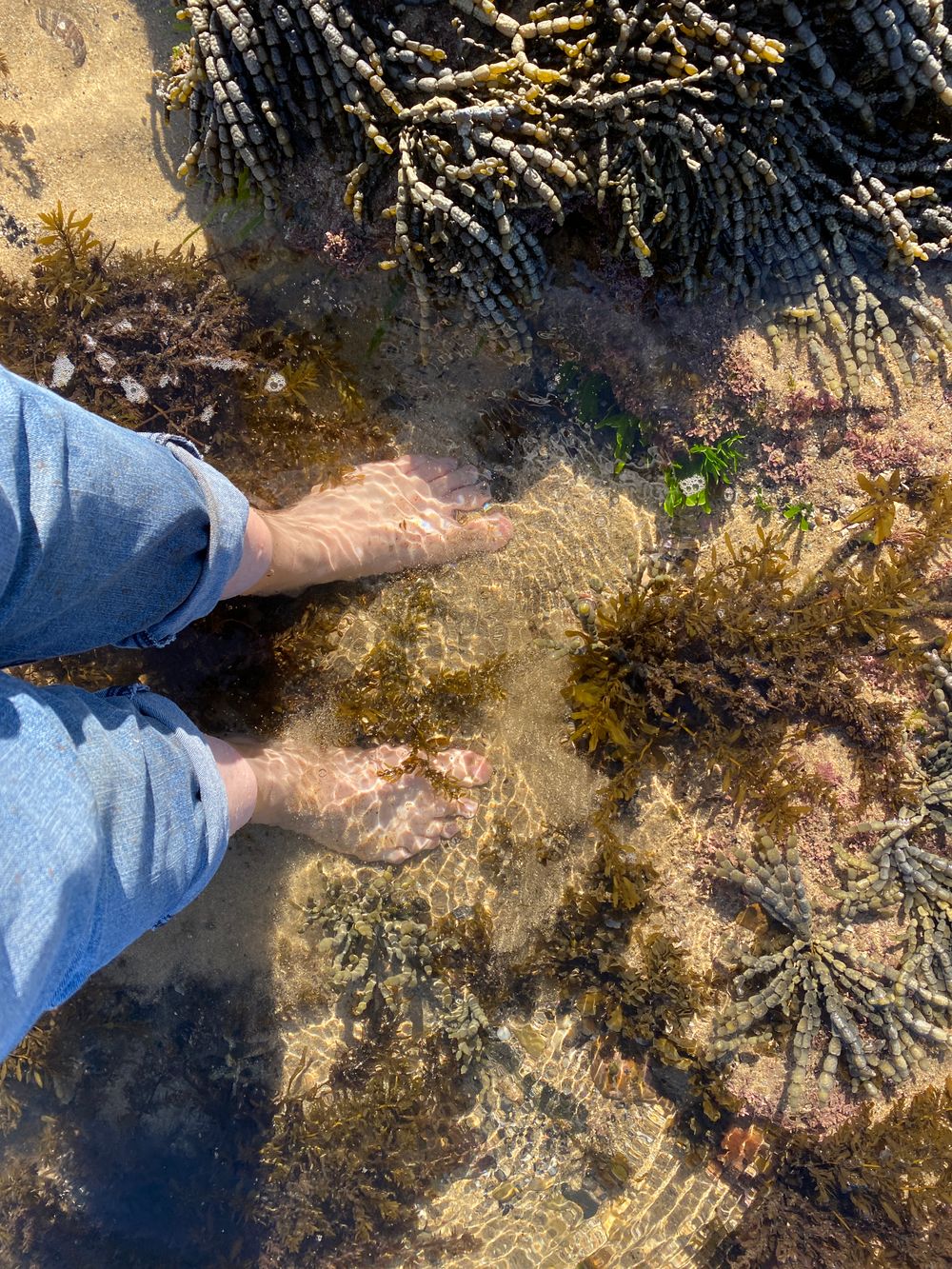 Welcome to another Wednesday edition post image