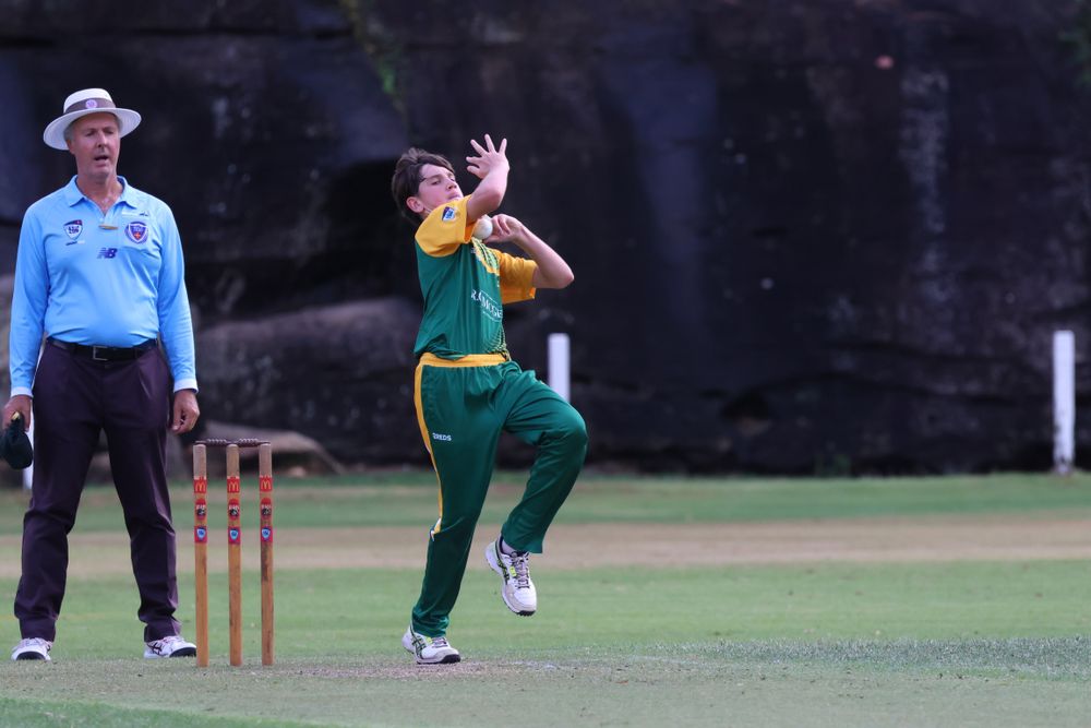 Rego is open and Illawarra cricketers are set for an exciting summer post image