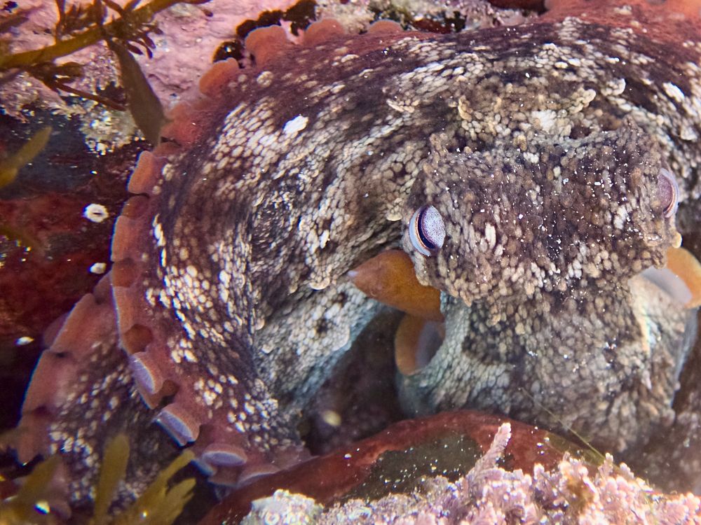 Why you need to go for a rock ramble this week post image