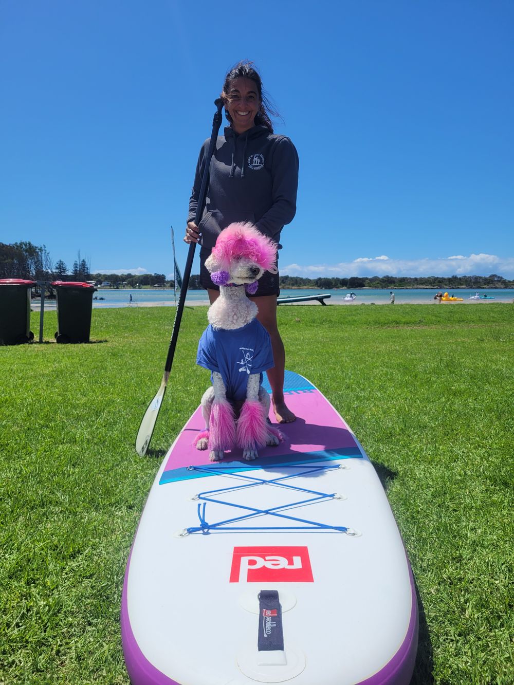 'SUP? Apart from paddlers, pups and the surf? post image