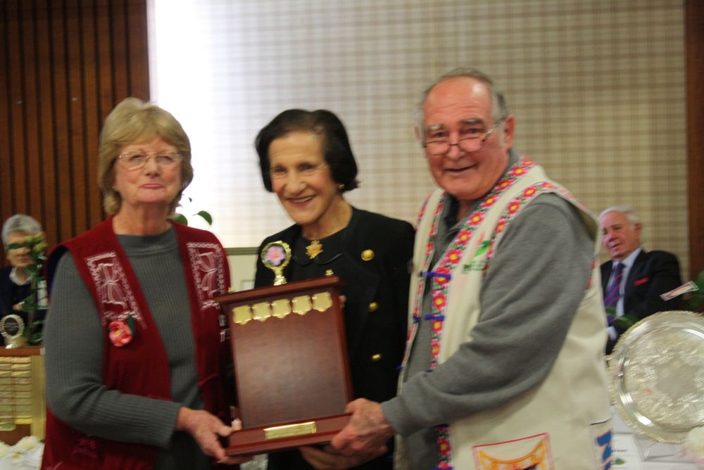 A Camellia Showstopper post image