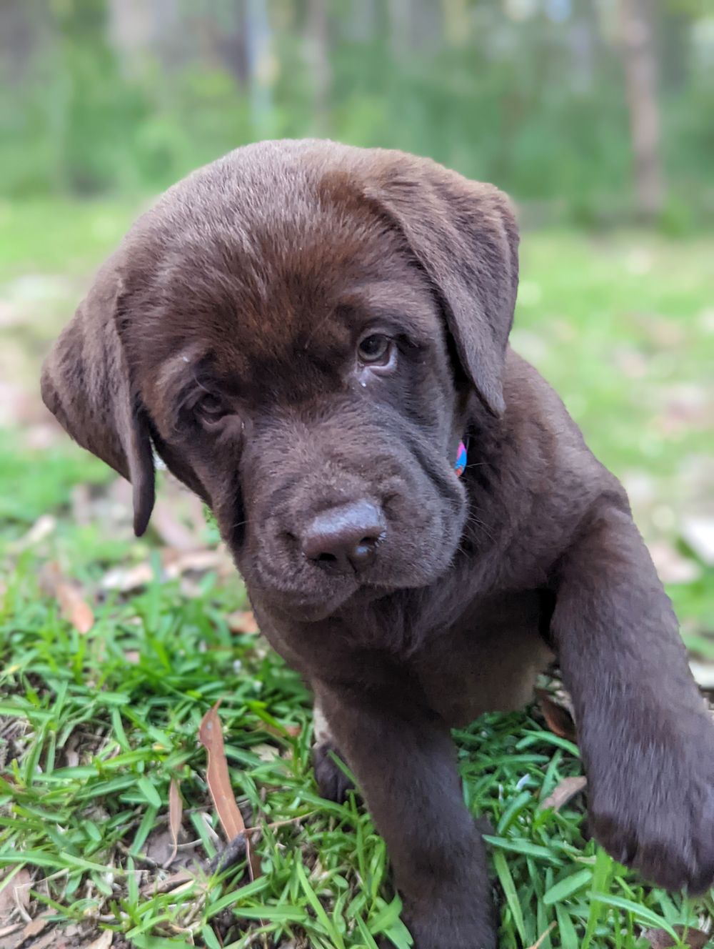 Top beaches for top pooches post image