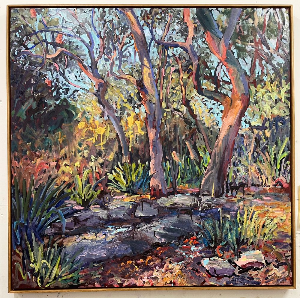 Through Droughts and Floods: What trees can teach us about resilience post image