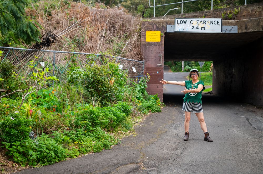 Visit Imogen's Verge Garden on Illawarra Edible Garden Trail post image