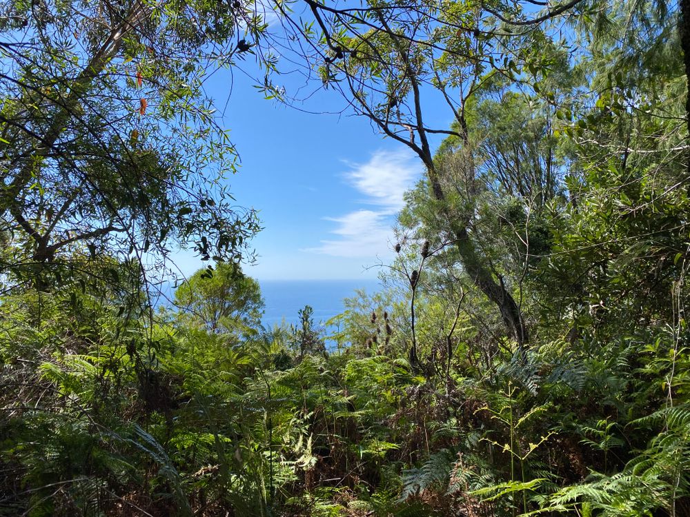 Cheers to another Wednesday post image