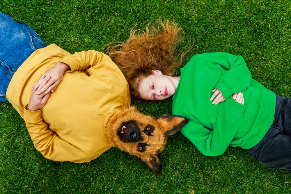 MerrigongX creator invites us on a walk through love and loss as 'Dog People' comes to IPAC post image