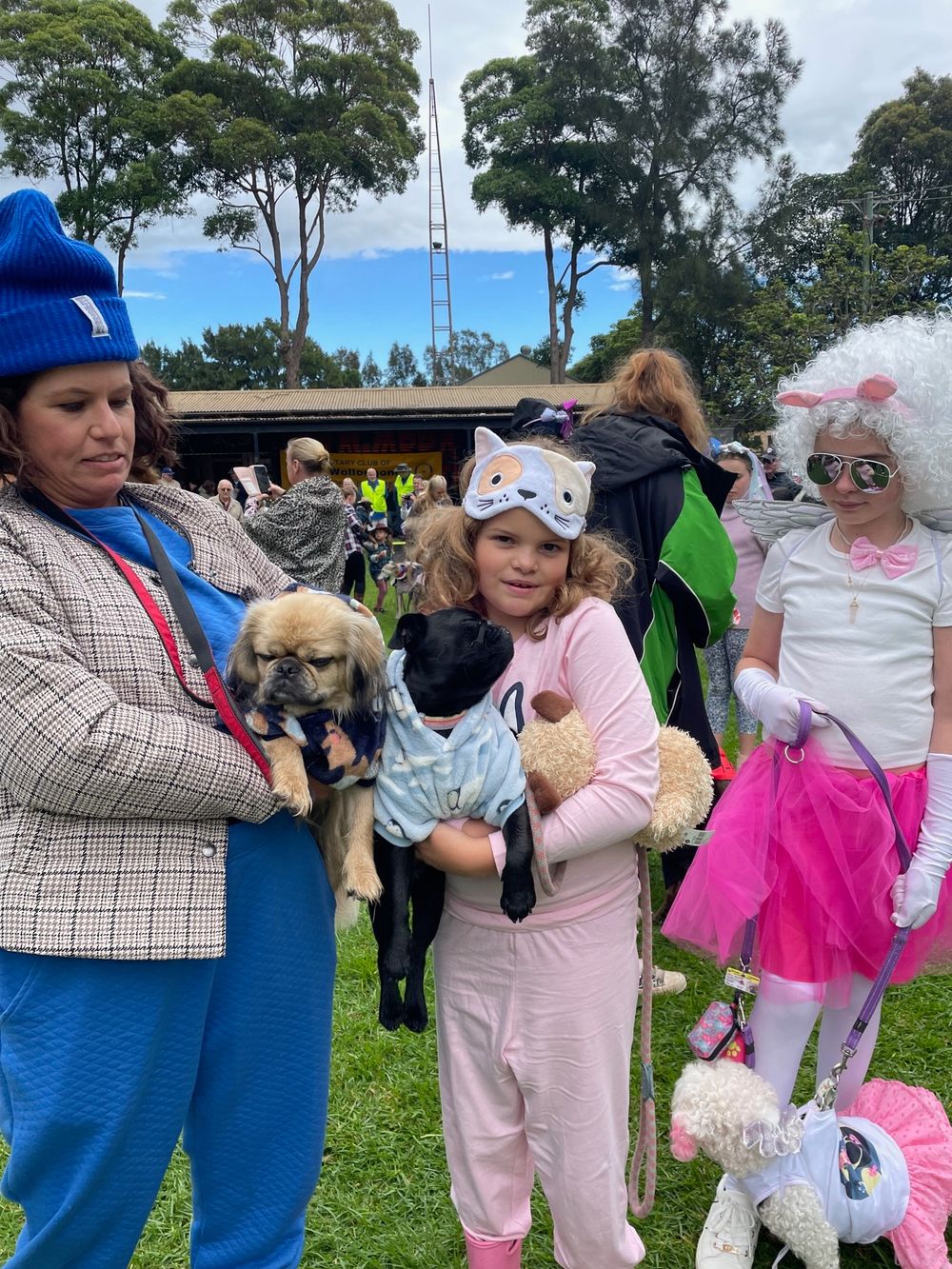 Second Paws4aCause set to get tails wagging in Wollongong post image