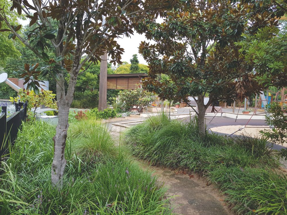 Changes to Council services due to COVID-19 post image