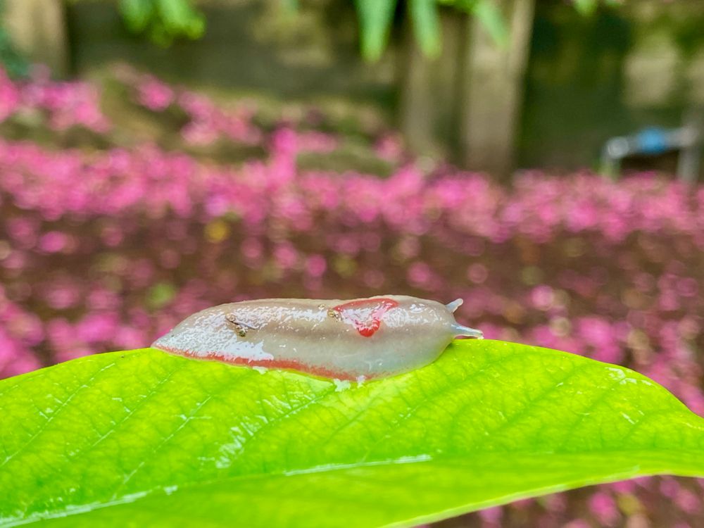 Why you should always clean up and other stories I tell myself post image