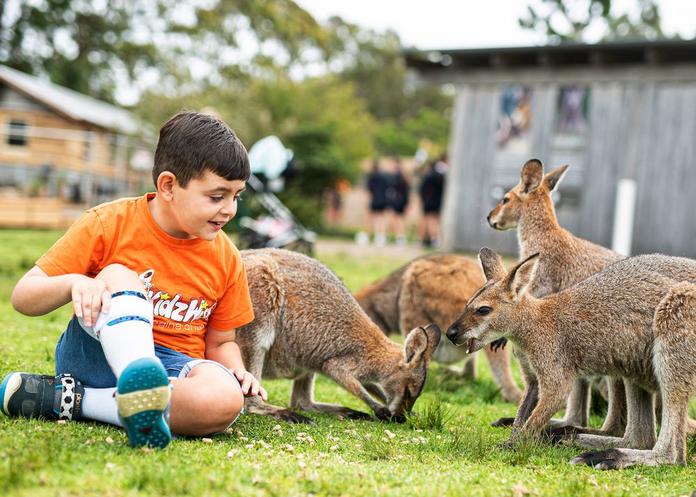 Give joy to children post image