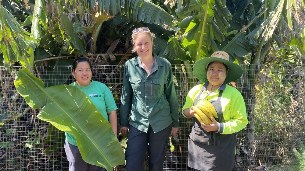 Two sisters share a sweet treat from home at Culture Mix post image