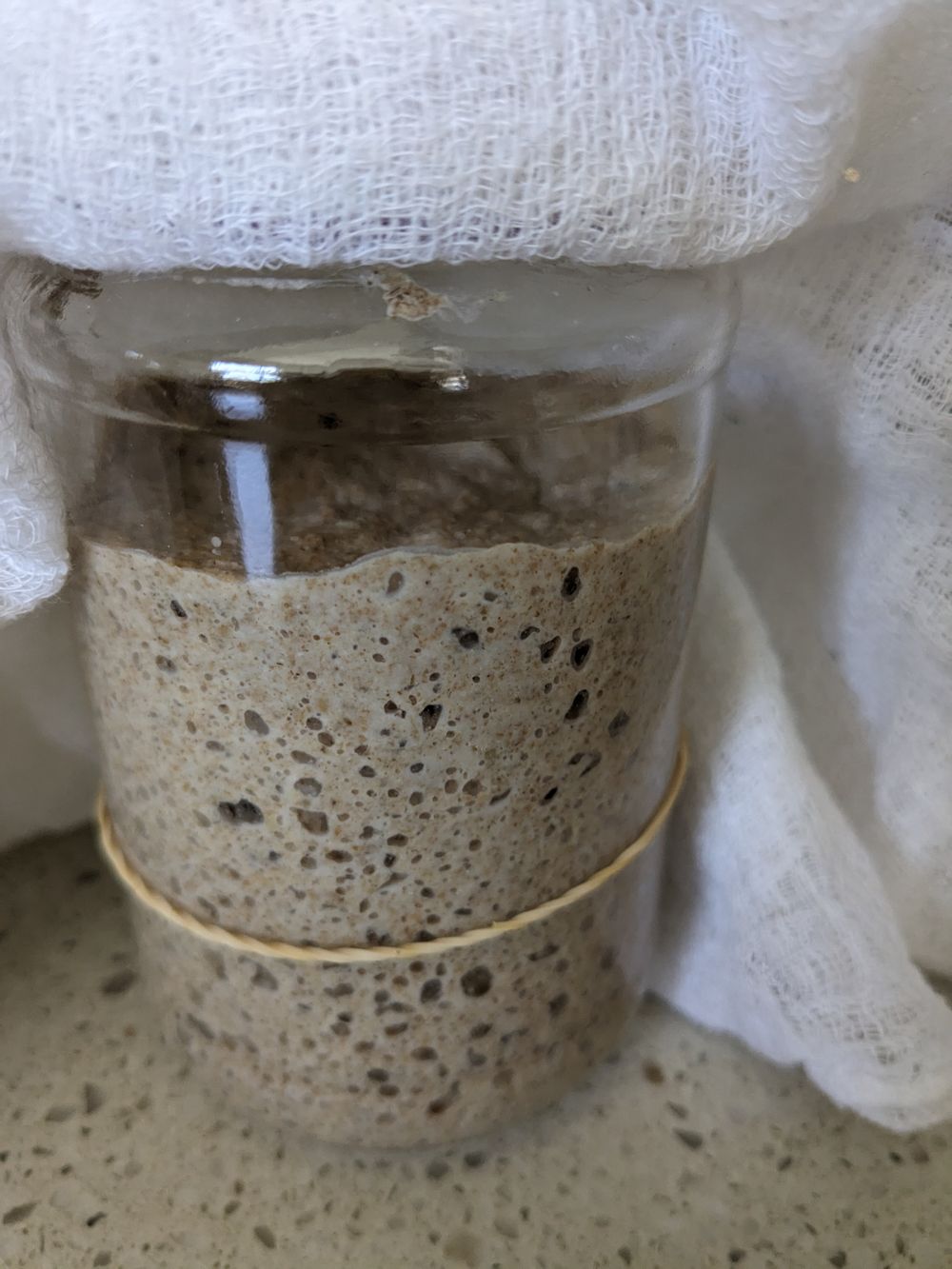 Food waste fix: Make your own Sourdough Starter Pancakes post image