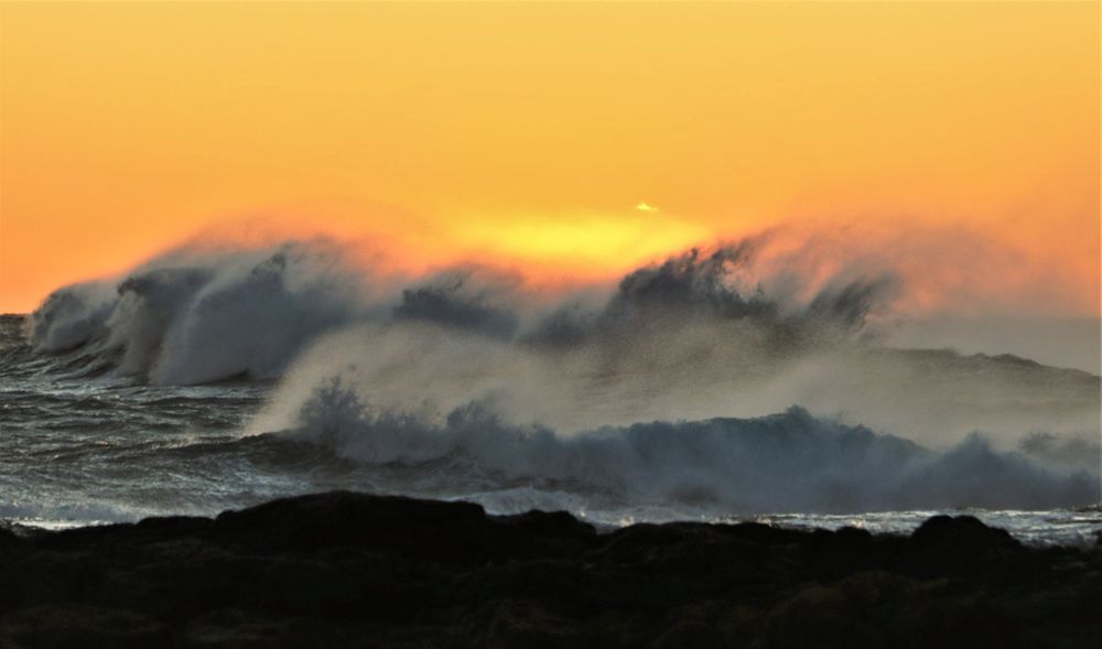 Nature Notes: from sunrise on steroids to shark talk post image