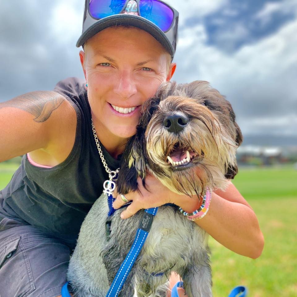 Day in the life of a dog walker post image