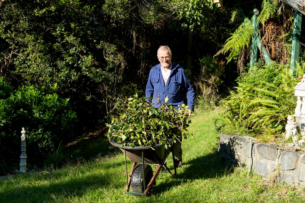 Stanwell Park's Banksia Bushcare wins award for fostering community spirit post image