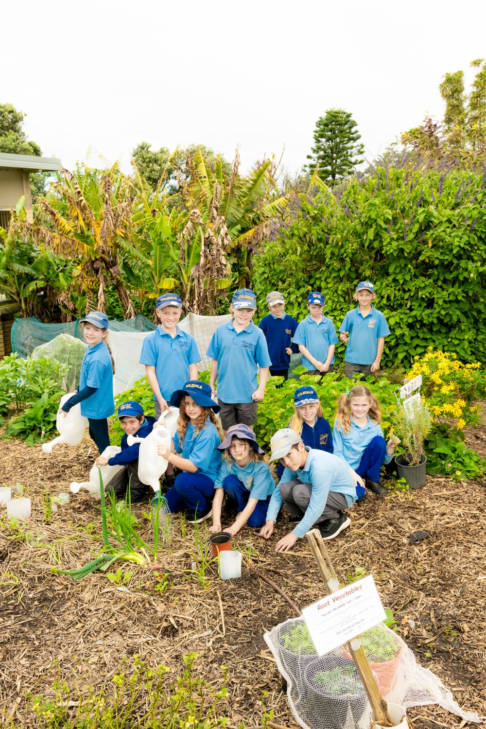 Spring in the Garden: How Coledale kids grow, cook, learn post image