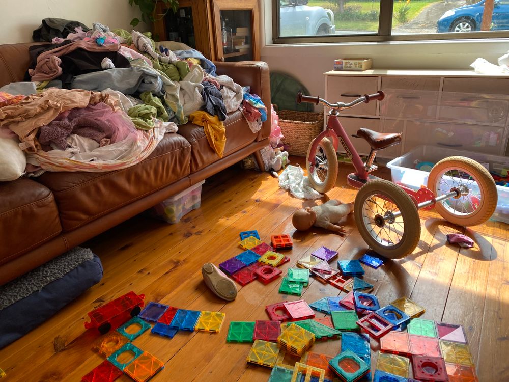 I don’t clean my house anymore post image