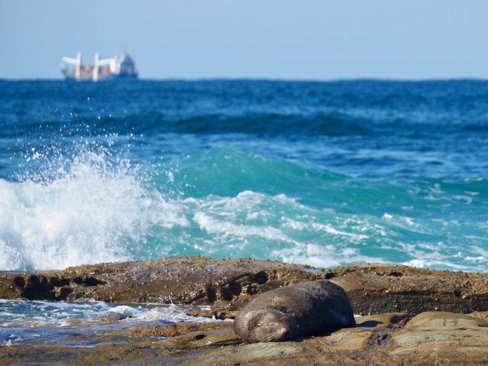 Nature Notes: Friday 13th May post image