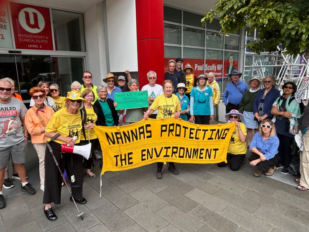 Protestors say fast-tracked new planning laws favour developers not environment post image