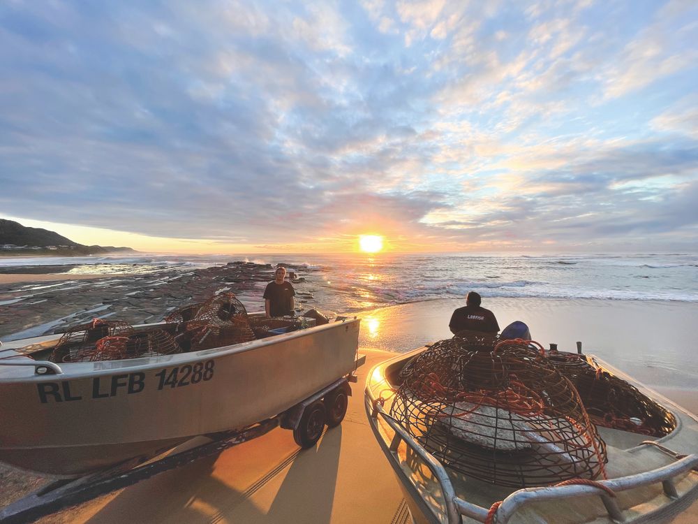 Whole lobster love post image