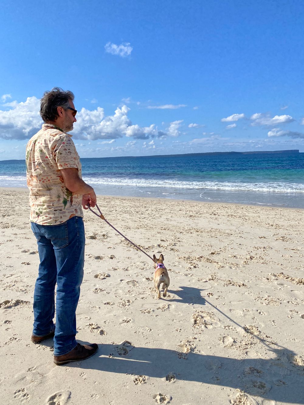 Have paws, will travel: discover dog-friendly Jervis Bay post image