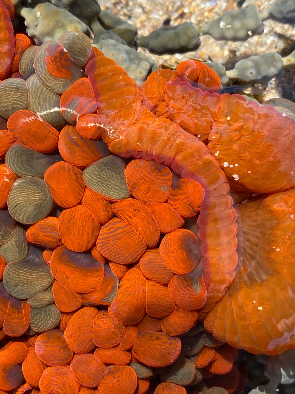 'I thought I’d choose something that floats, Because soon we’ll all be needing boats' post image