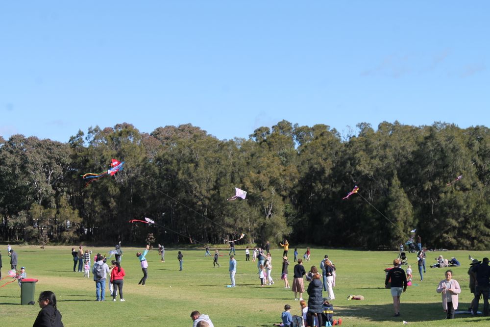 Kite Festival took off at Stuart Park post image