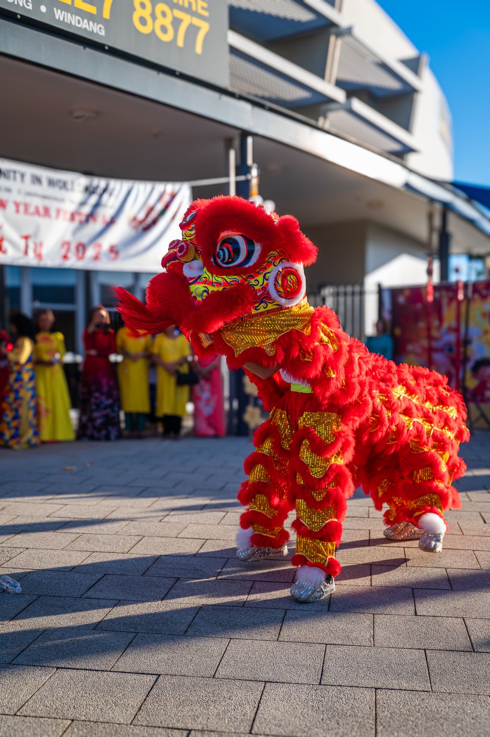 Vietnamese community celebrates Year of the Snake with song and dance at Dapto post image