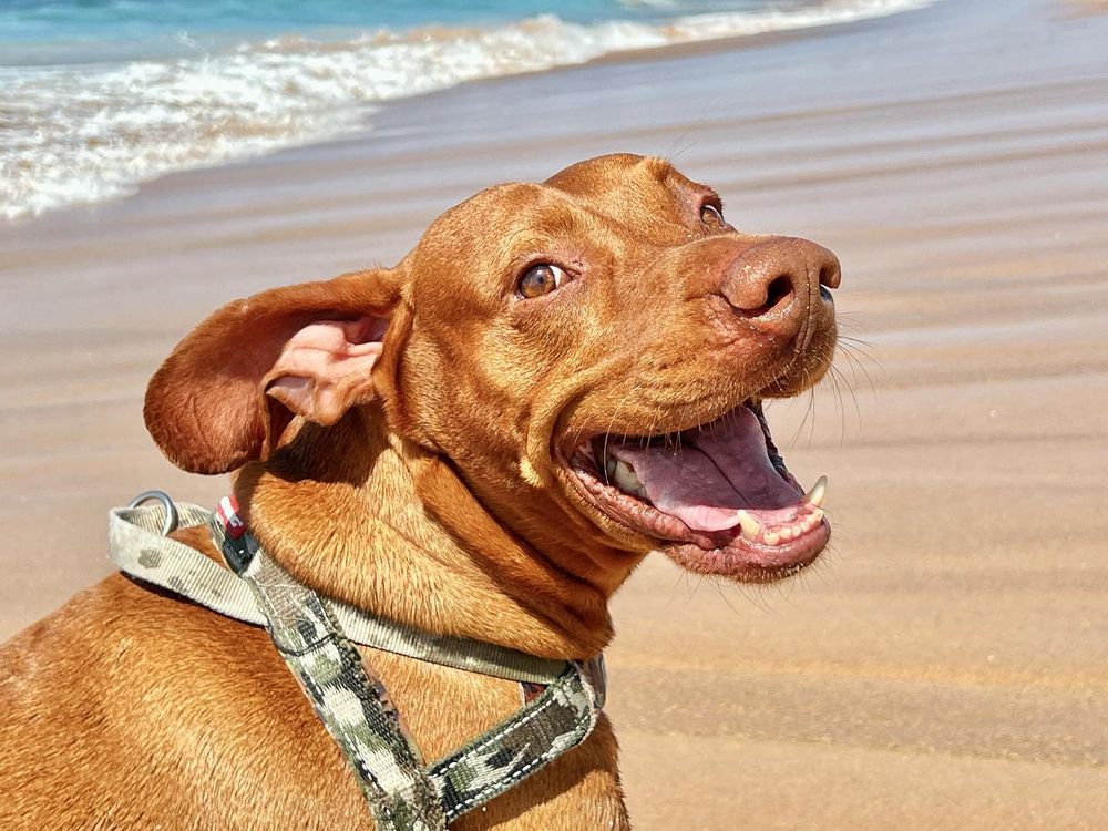 Hello, Wednesday readers post image