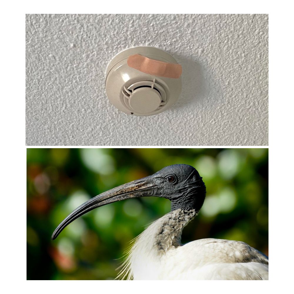 Cancelled plans and an oddly placed bandaid: The perils of dating your spouse in early parenthood post image