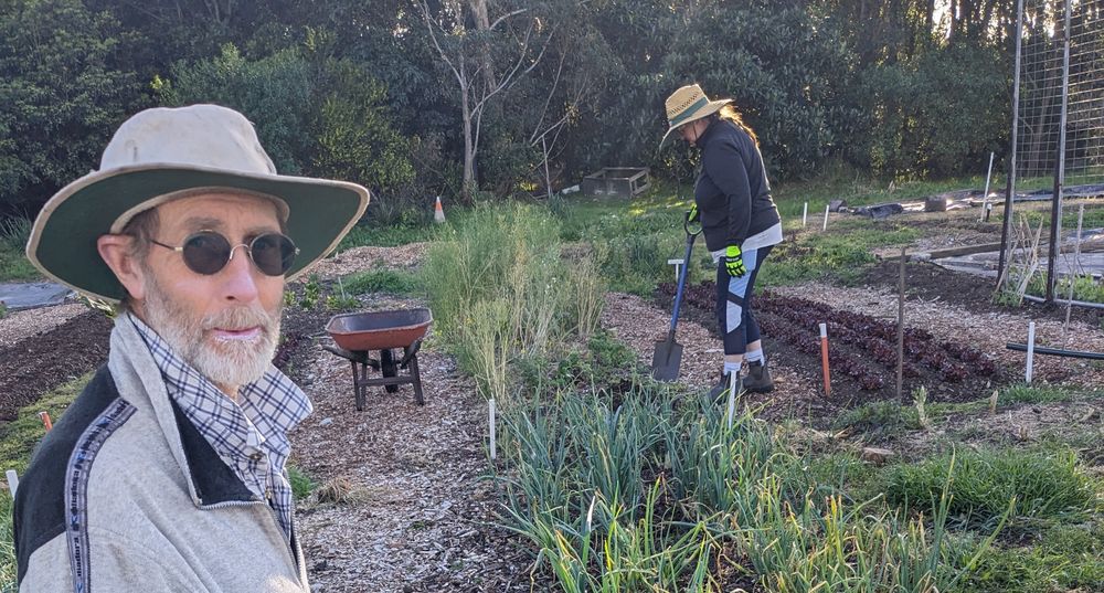 Green Connect's Rod Logan calls for council to help grow community garden network post image