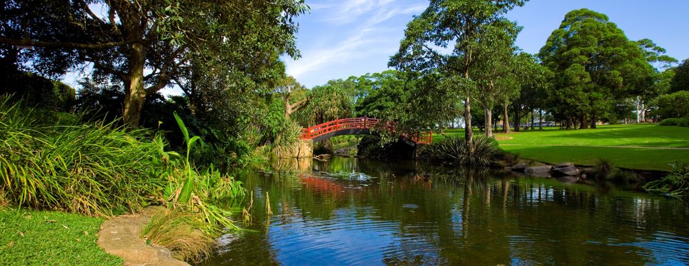 Where to dine out with dad post image