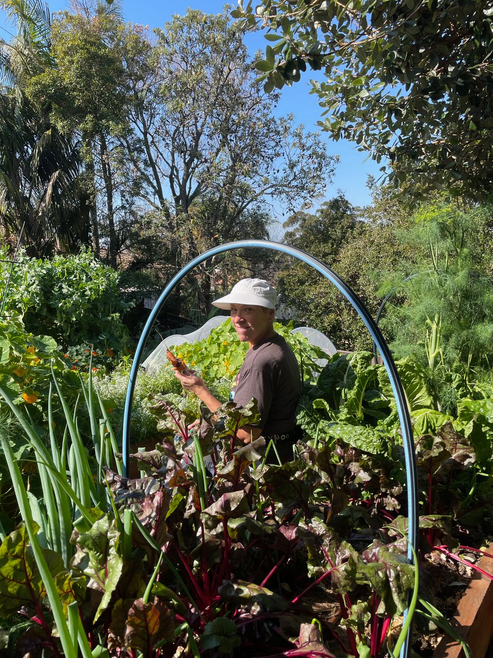 Explore Marina's Patch on the Illawarra Edible Garden Trail post image