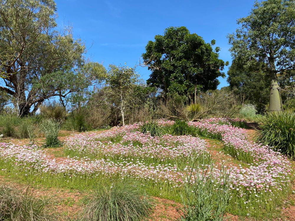 Hello, Wednesday readers post image