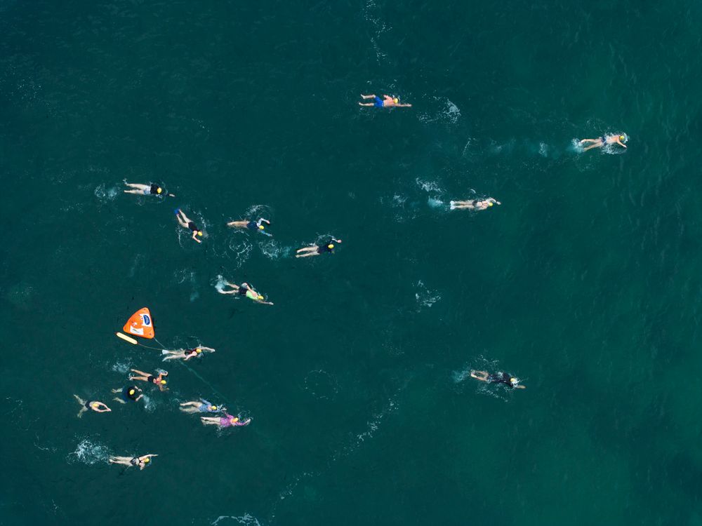 New Great Swim of the South comes to Coalcliff post image