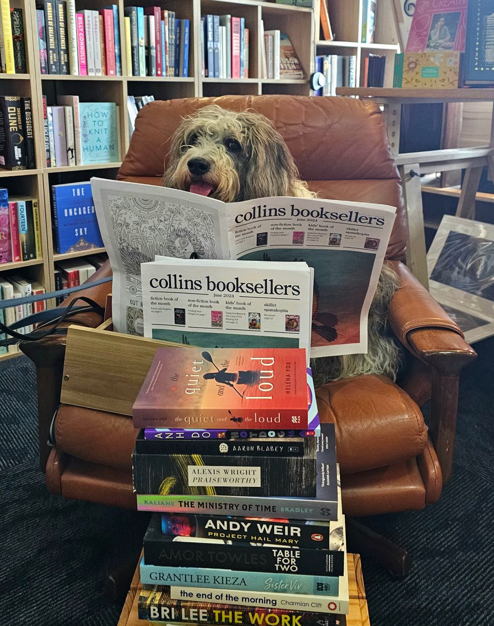 Cosy Reads, Local Winners and Bookish Events post image