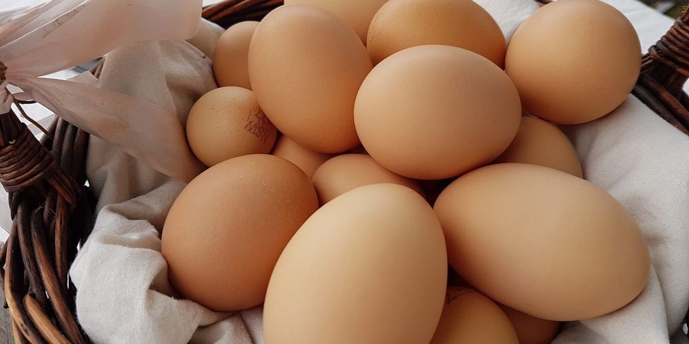 Let’s talk about eggs post image