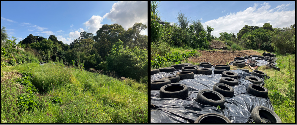 New Friendship Garden for Green Connect's Warrawong urban farm post image