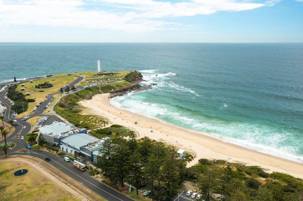 Common Ground: Sea Shepherd Australia says Illawarra offshore research is 'urgent' post image