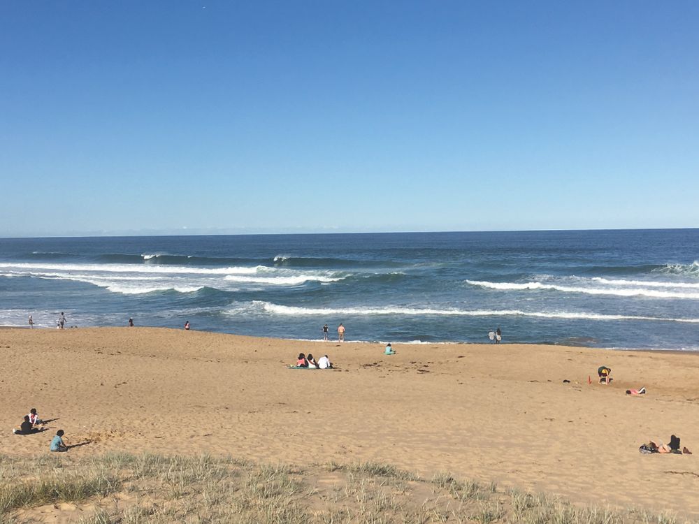 Dr Rip's top tip: Swim between the flags – 'If they can’t see you, they can’t save you' post image